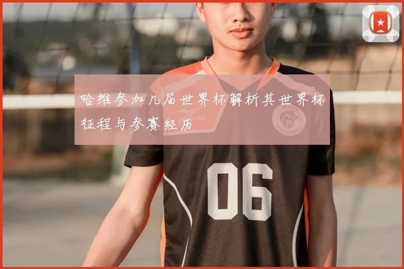哈维参加几届世界杯解析其世界杯征程与参赛经历