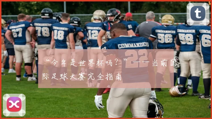 “今年是世界杯吗？”——当前国际足球大赛完全指南