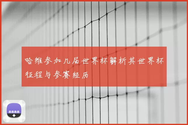 哈维参加几届世界杯解析其世界杯征程与参赛经历