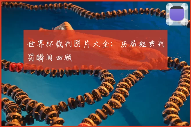 世界杯裁判图片大全:历届经典判罚瞬间回顾