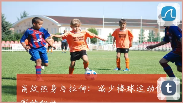 高效热身与拉伸：减少棒球运动伤害的秘诀